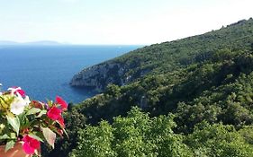 Apartment Vedran - Brsec Old Town